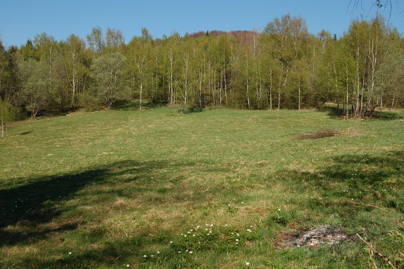 Lúka v sedle Priehyby