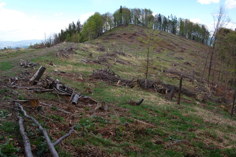 Stašková