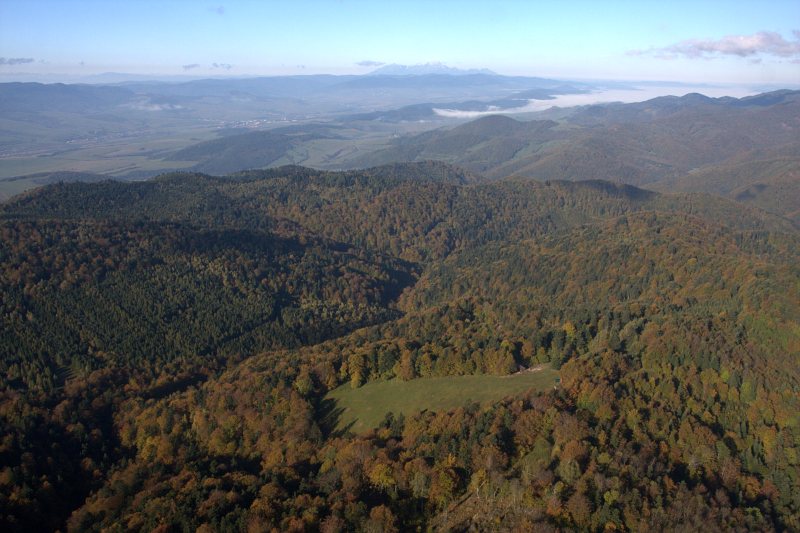 V popredí Hačurova, vľavo od nej ihličnanmi zalesnená Boldovská lúka