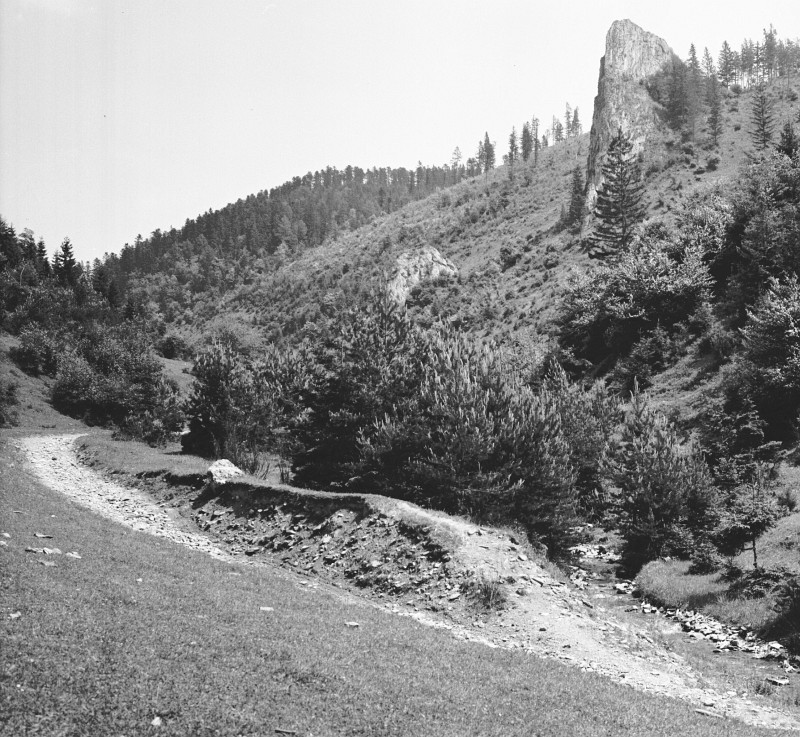 Sokolia skala