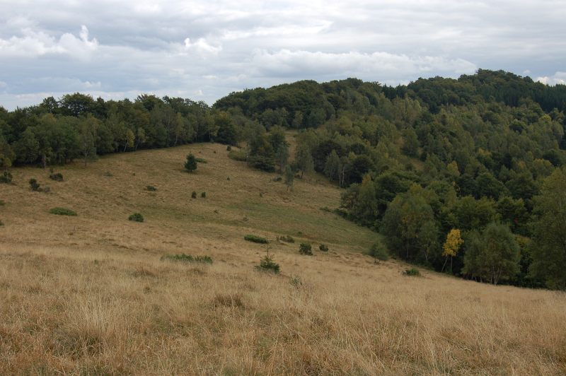 Lúky v sedle Chochuľka, vpravo vzadu kóta 1052