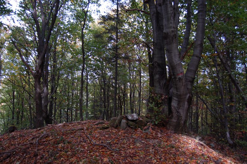 Vrch Ostrá - severnejší vrchol