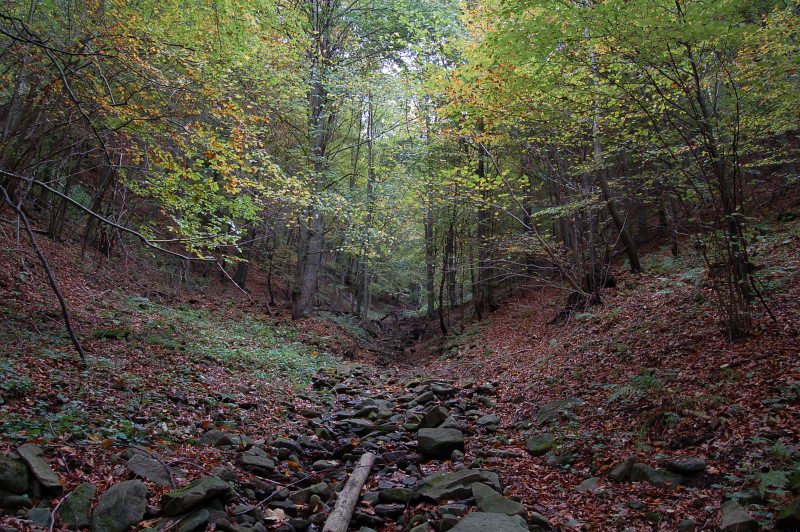 Siňaví jarek