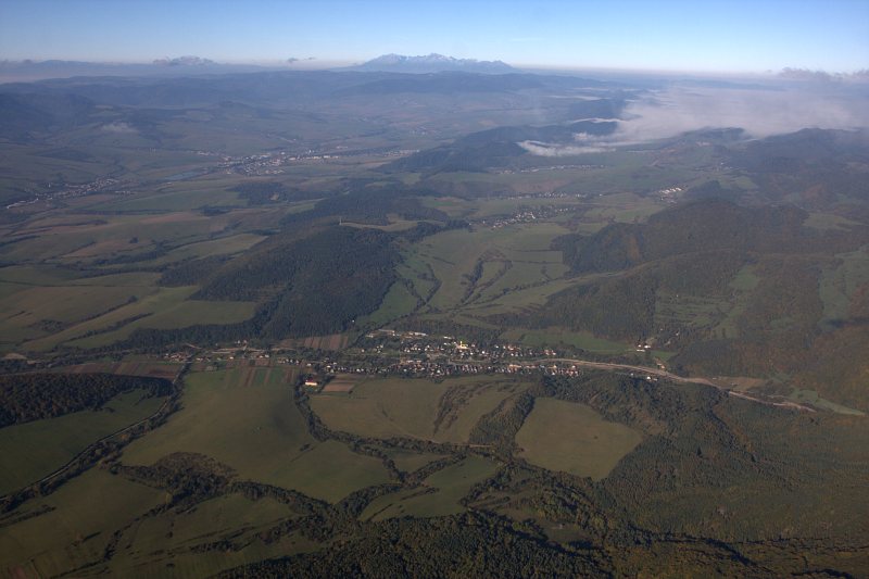Ľutina