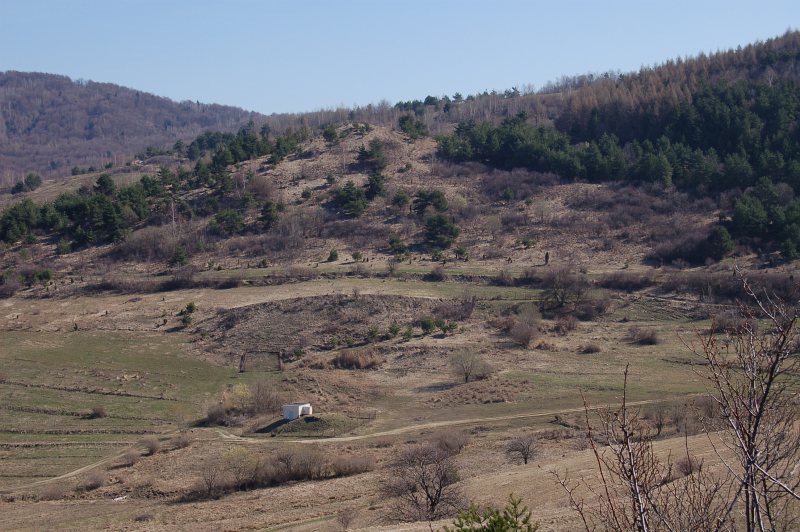 Ostrý horb