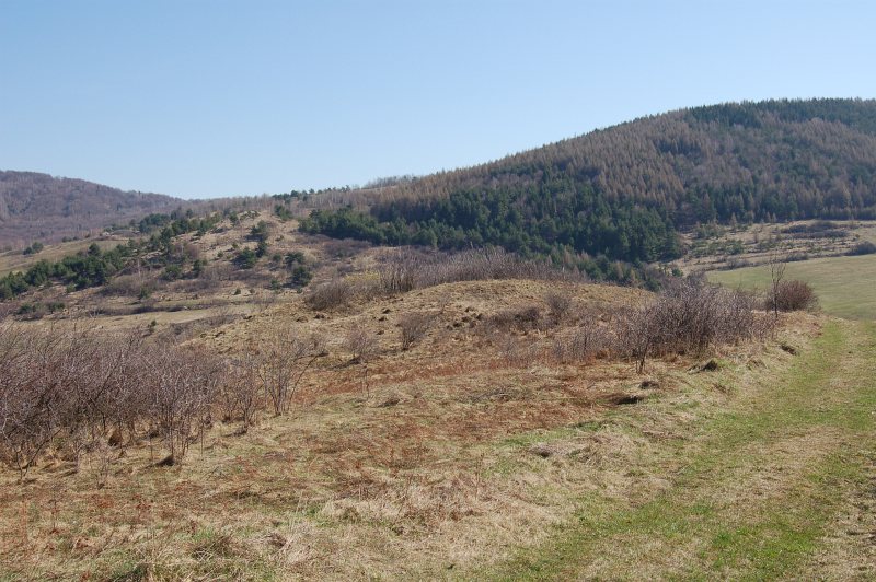V popredí vrch Hrabienka, vzadu vľavo Ostrý horb a vpravo Vysoká hora