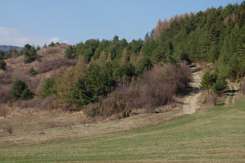 Ostrý horb