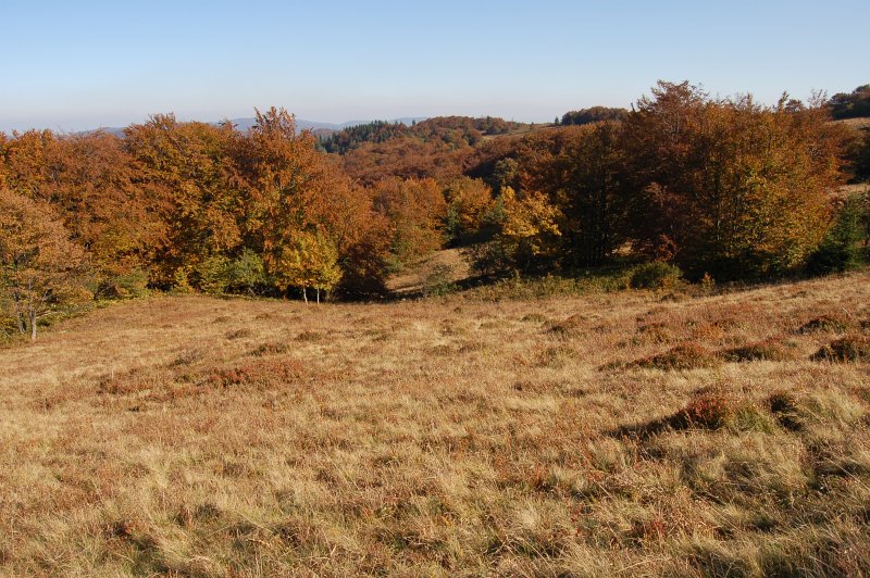 Národná prírodná rezervácia Čergovský Minčol