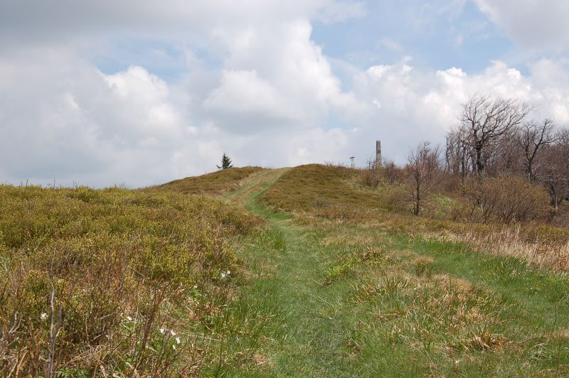 Minčol