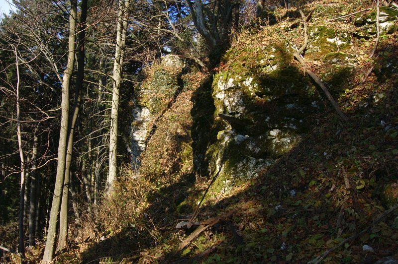 Holá skala