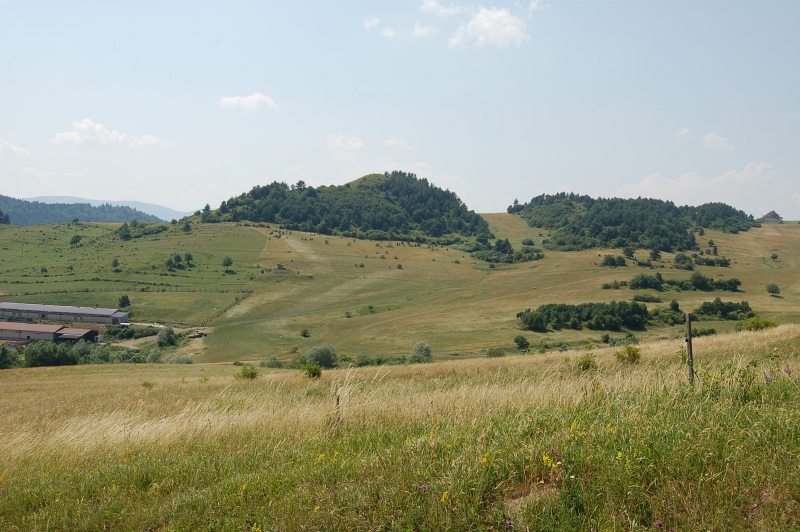 Oselníky v pozadí