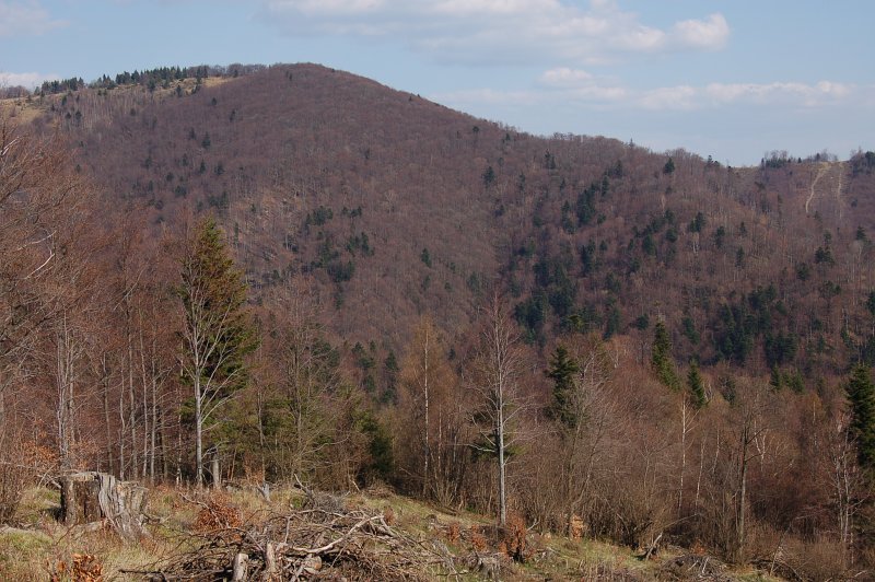 Veľká Javorina