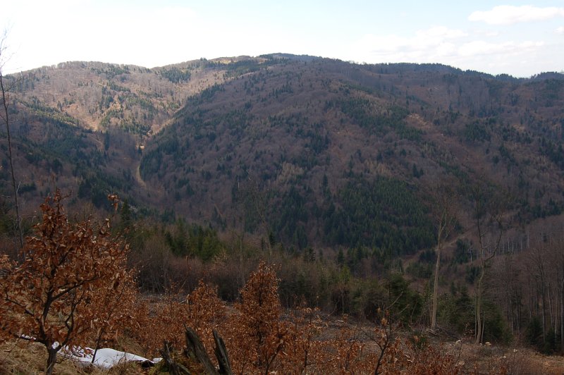 Pohľad na NPR Pramenisko Tople a Minčol