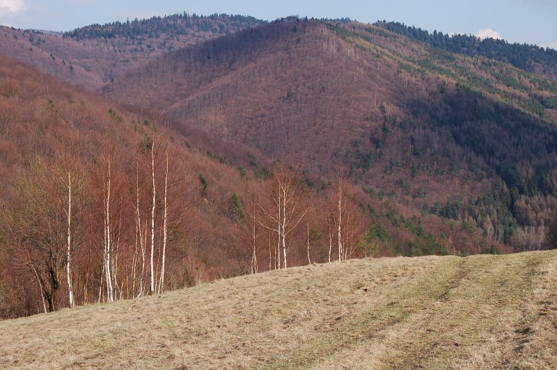 Výhľad na oblasť Olejníček z Kartošova
