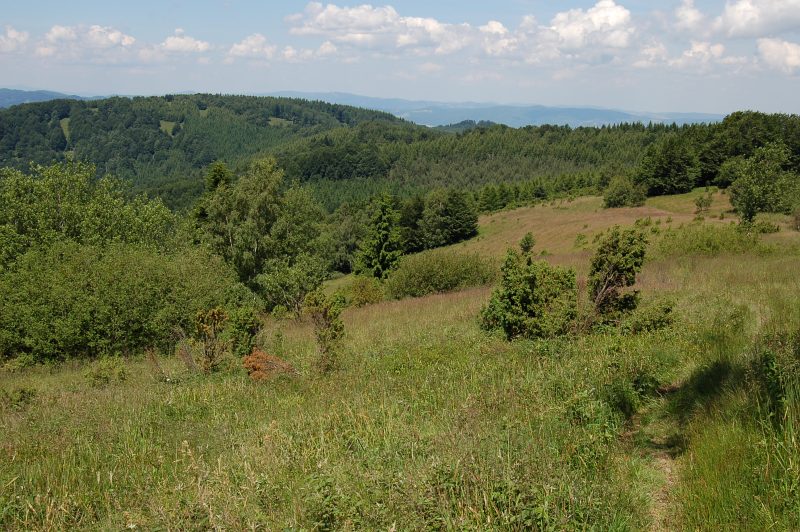 Pohľad na Solisko