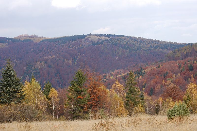 Pohľad na vrch Čergov z bočného hrebeňa Lysej