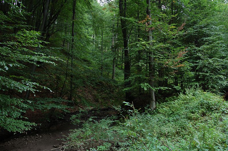 Riečka Ternianka