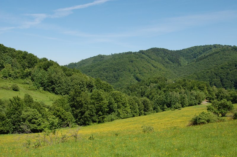 Trasa medzi Krížmi a Livovom