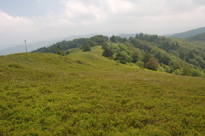 Fotografia z rezervácie Minčol