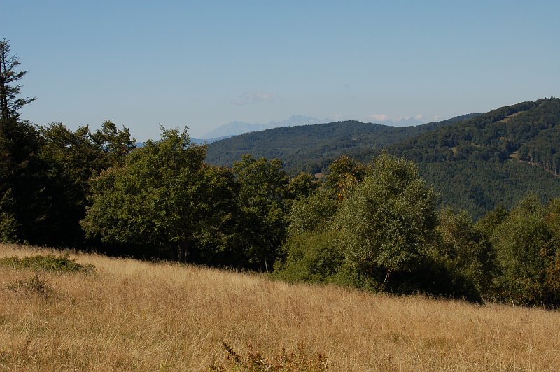 V pozadí Tatry