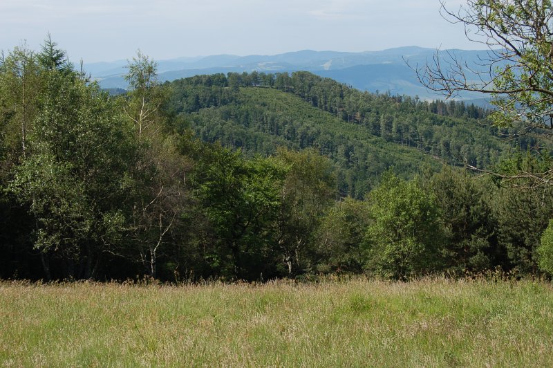Škaredé
