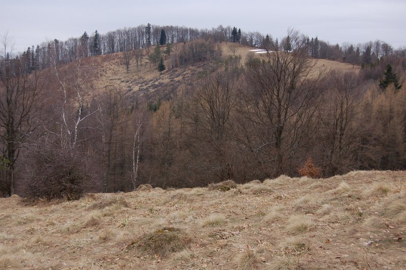 Hrašovík