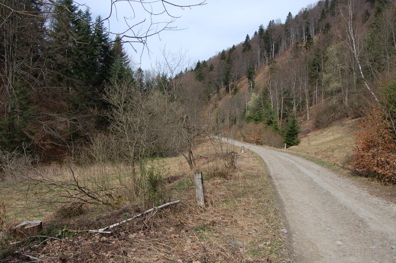 Miesto, kde v  polovici 19. storočia stála usadlosť Jozefa Jasenského a v 20. storočí usadlosť Jána Starinského.