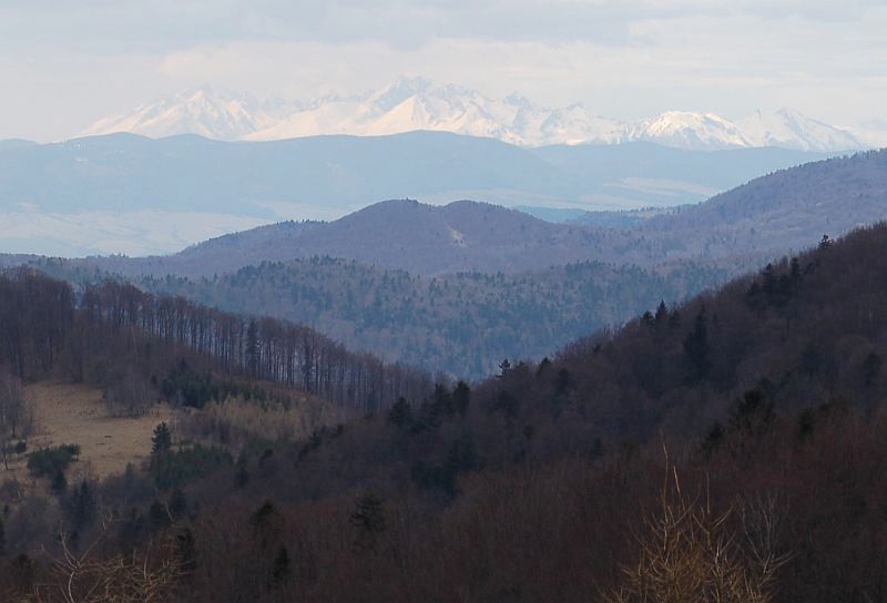 Výhľad na Tatry zo sedla Lysina (zväčšený záber)