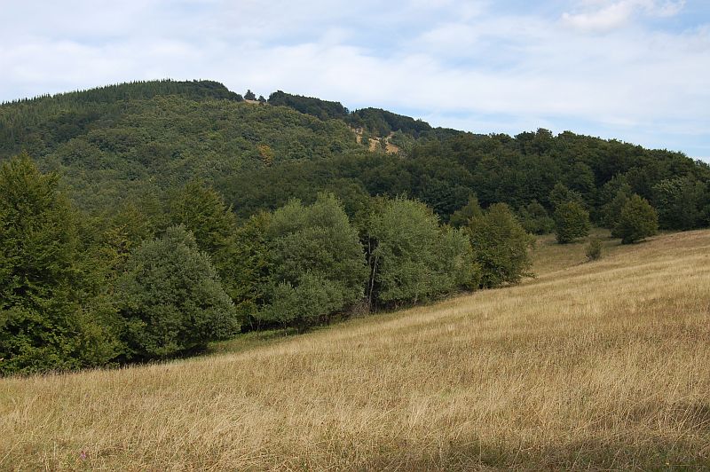 Dvoriská