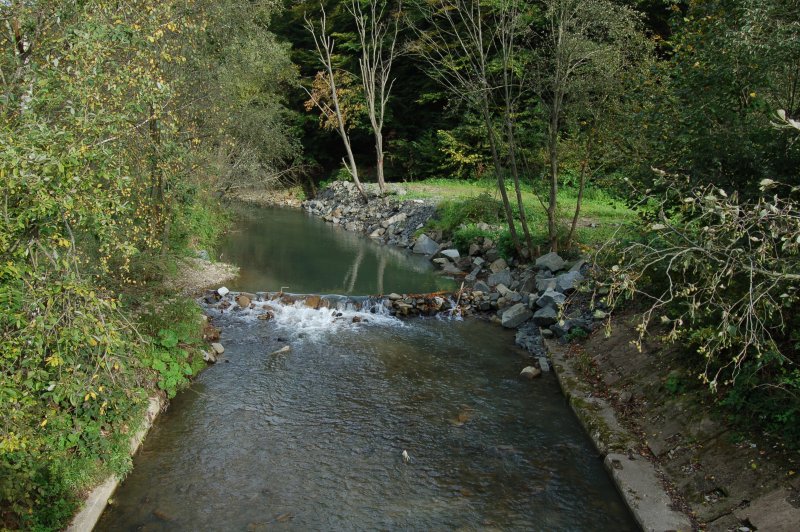 Ľutinka v Olejníkove