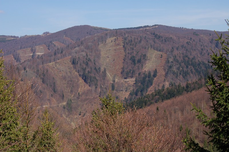 Veľká Javorina