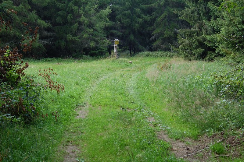 Besná