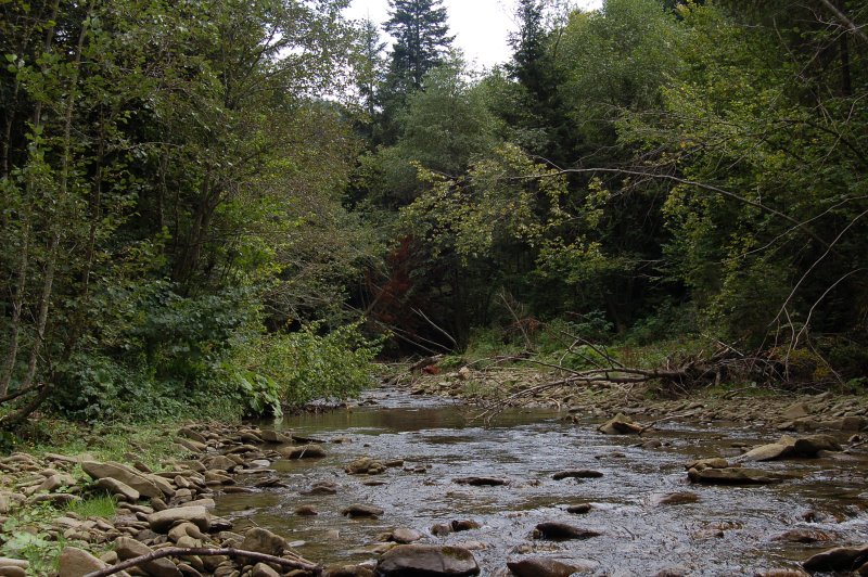 Ľutinka