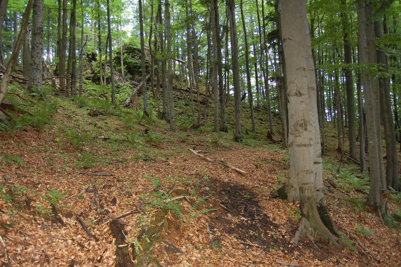 Vpredu plošina po uhliarskom milieri