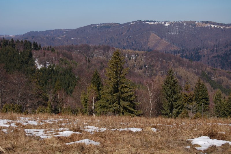Výhľad z Kóty 1015 pri Okrúhlej na vrch Veľká Javorina