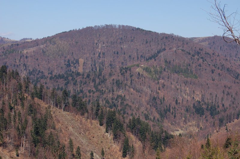 Škaredé