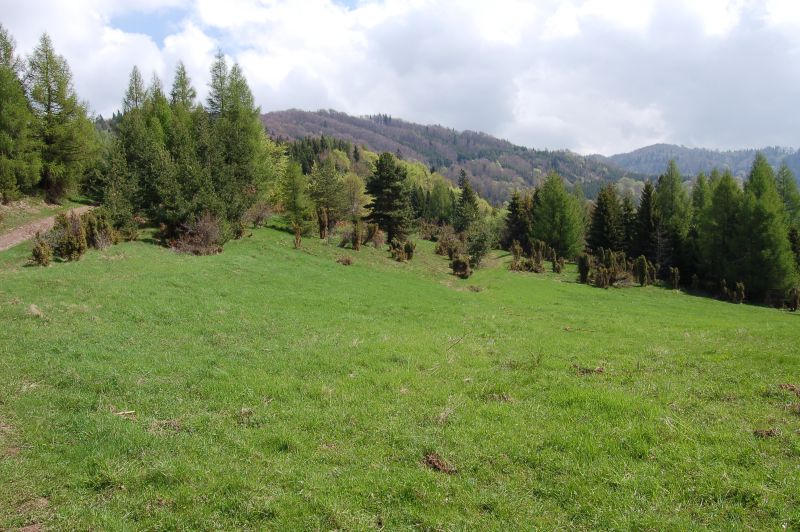 Cesta na Minčol