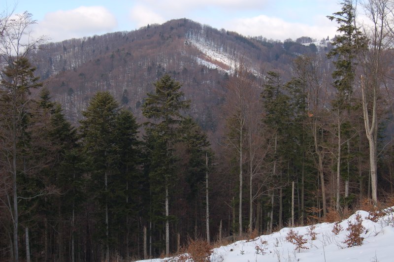 Hrašovík