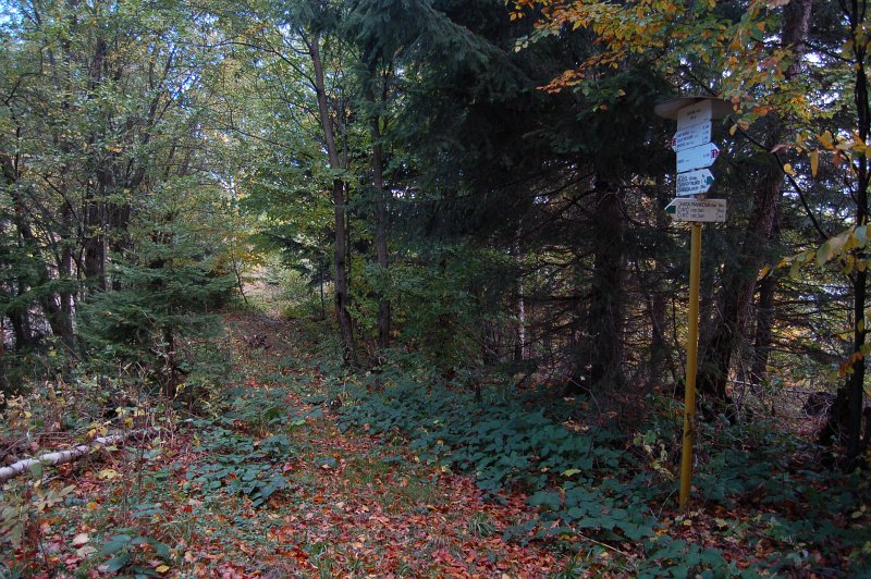 Uhlisko