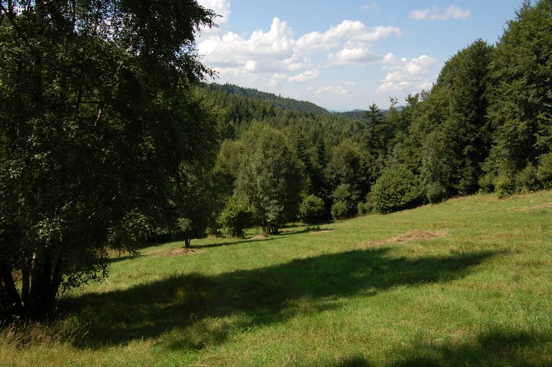 Kovaľova lúka
