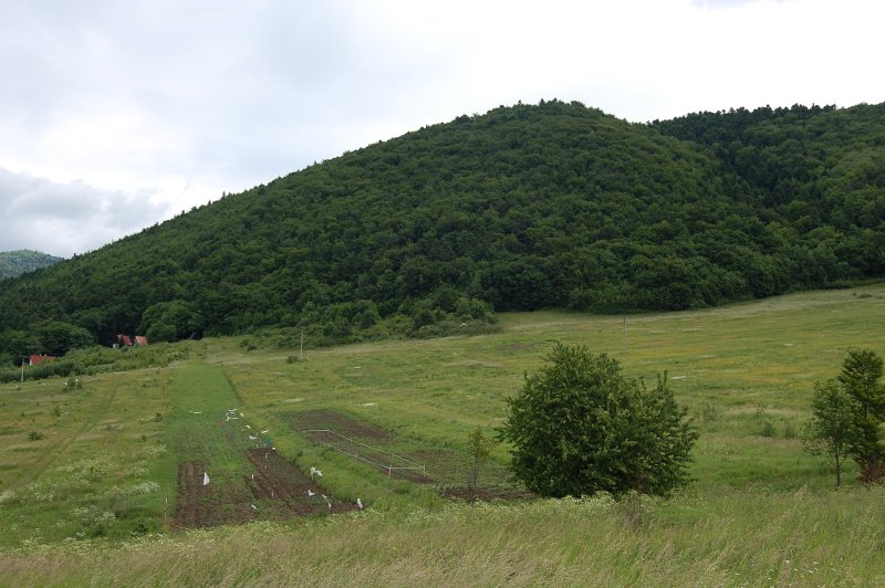 Kajtárová