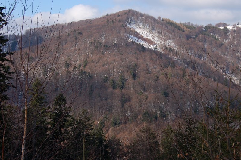 Hrašovík