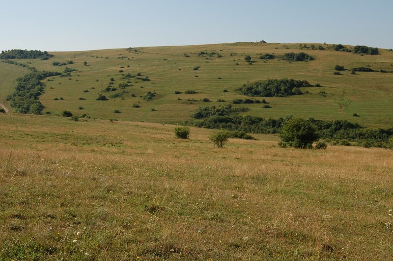Pasienky nad Šarišským Jastrabím