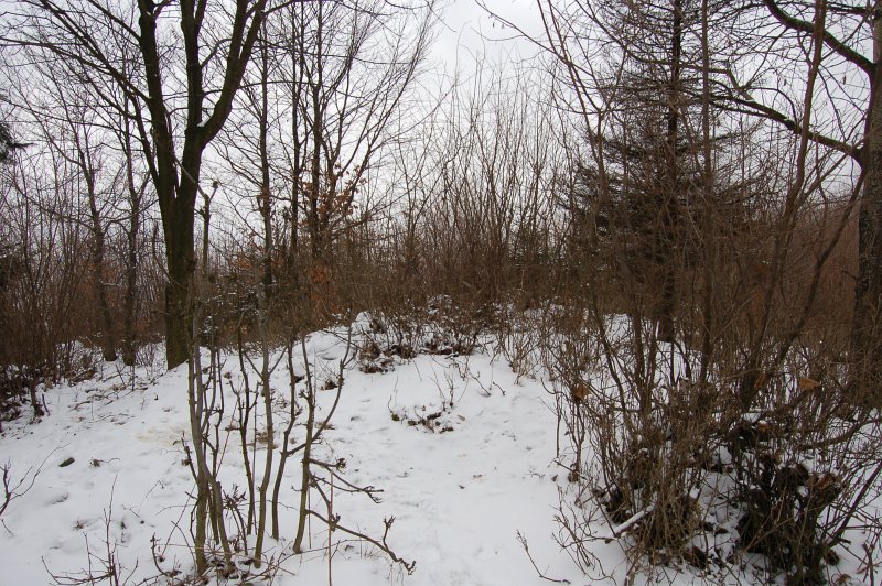 Kostolný vrch - kóta