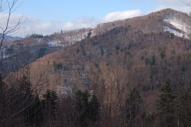 Hrašovík, Malý Horošovík