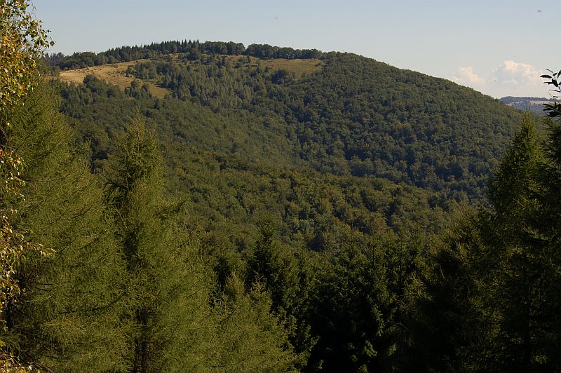 Veľká Javorina