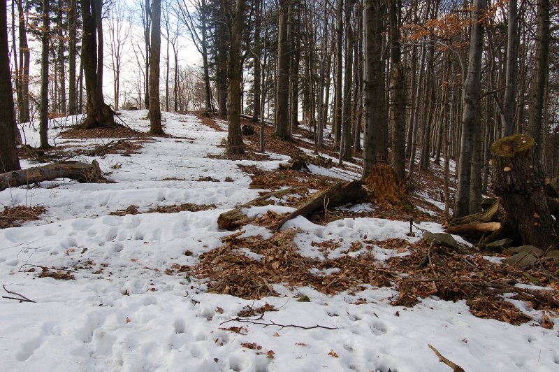 Veľký Hrašov