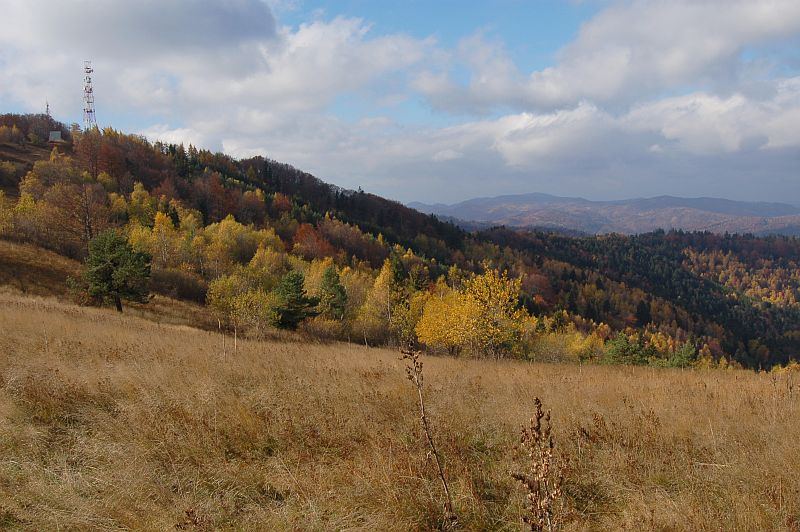 Lysá