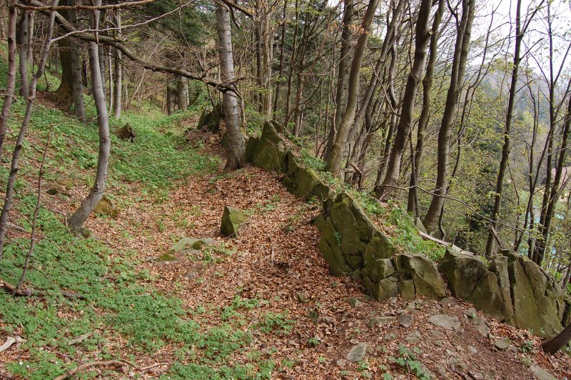 Chyžisko