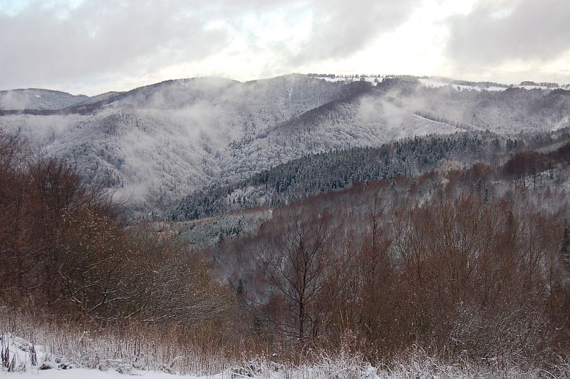 Veľká Javorina